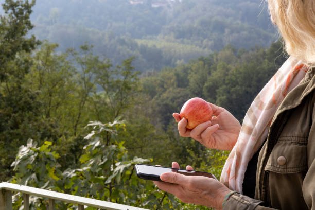 latest articles travellingapples