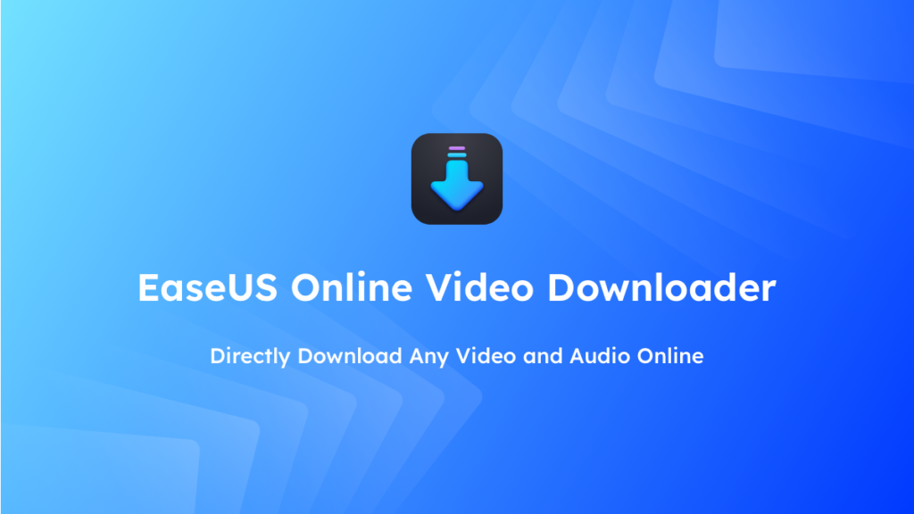 online video downloader